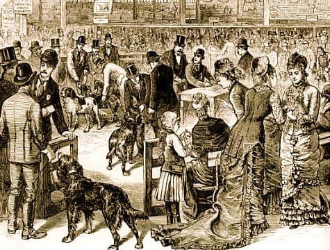 तर, आता शेवटी जाता जाता एका महत्त्वाच्या प्रश्नावर बोलूया. वॉरेन रेमेडीला श्वान प्रजातीत सर्वोत्कृष्ट का मानलं जातं?