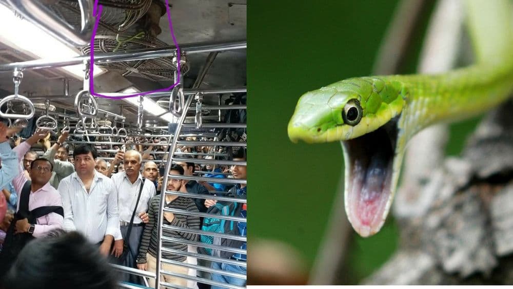 बाबो !! मुंबईच्या लोकल मध्ये शिरला अनोळखी पाहुणा....व्हिडीओ पाहून घ्या राव !!