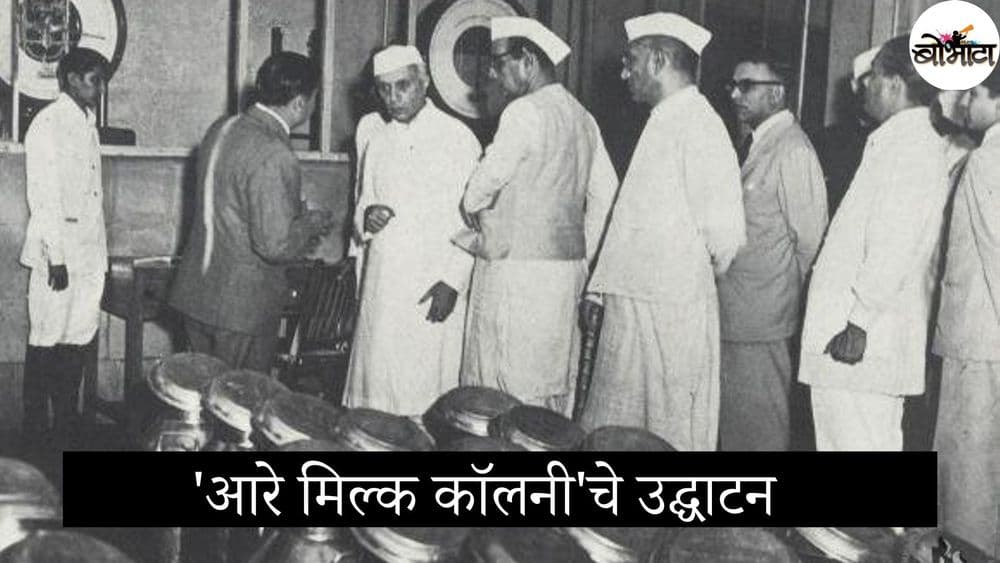 जगातली सर्वात मोठी डेअरी- आरे डेअरीच्या स्थापनेमागची कथा, कुरघोड्या आणि राजकारण!!