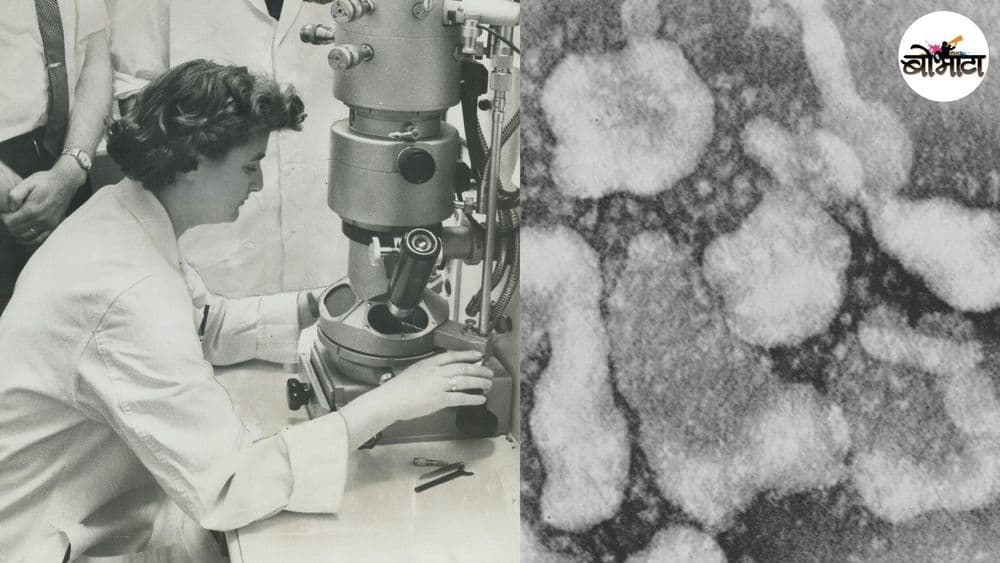 कोरोना विषाणूचा शोध १९६४ लागला होता? भेटा कोरोनाचा अभ्यास करणाऱ्या पहिल्या संशोधकाला!!