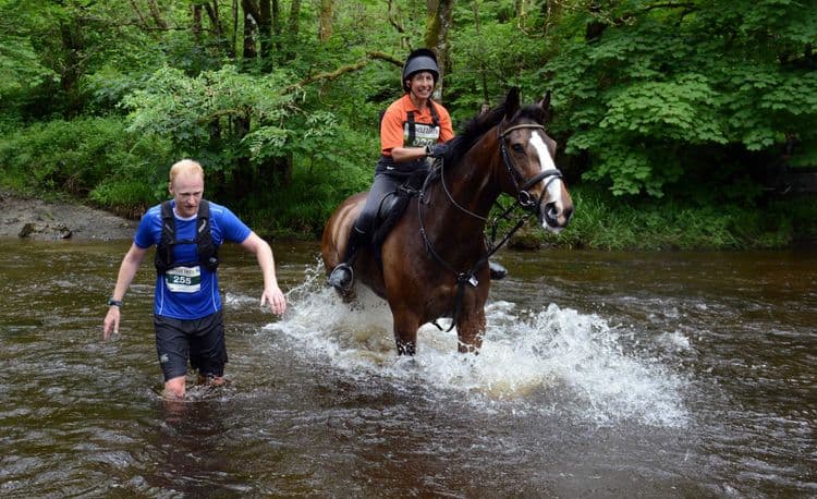 ९. मॅन व्हर्सेस हॉर्स