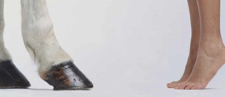 पायाचं काय ?