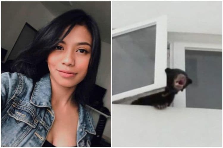 या बाईने अस्वल चक्क कुत्रा म्हणून खपवायचा प्रयत्न केला? बघा तर ती आणखी काय म्हणतेय..