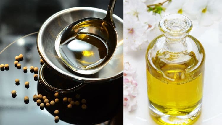 खाद्यतेलाचे हे विविध प्रकार तुम्ही कधी वापरले आहेत का? त्यांचे फायदे तुम्हाला माहित आहेत का?