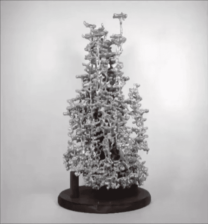 मुंग्यांचं वारूळ आतून किती भन्नाट असतं माहित आहे?