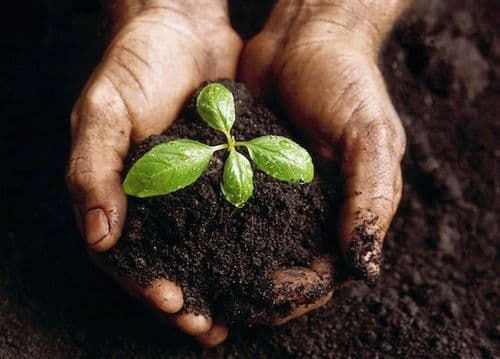 १. पृथ्वीवर जीवन असण्याचं कारण?