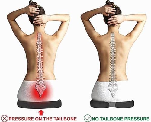 १. शेपटीचं हाड/माकडहाड (Tailbone)