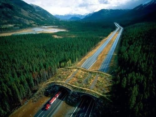 ५. बॅनफ राष्ट्रीय उद्यान, कॅनडा