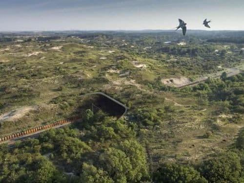 ९. डुइनपोर्ट, नेदरलँड्स