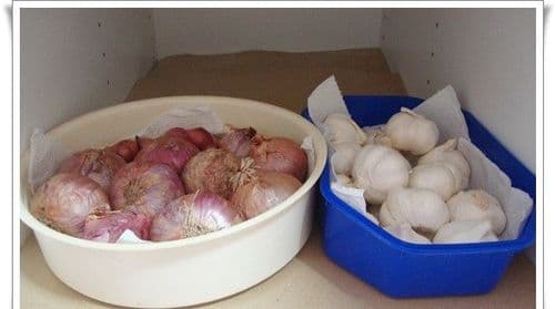 २ व ३. कांदे आणि लसूण: